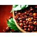 Blue Mountain Coffee 100% Jamaica Roasted Whole Beans - Buy Online on GoSupps.com