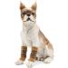 2pcs Dog Elbow Protector Pads Elbow Pads for Dogs Pet Knee Pads Strong Stability Dog Legs Protector for Recovering Injured(B S) Leopard Small - Buy Online on GoSupps.com