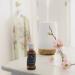 Shop Soap & Paper Factory Vanilla Fleur 1 oz Fragrance Oil - Premium Scent for Candles Diffusers & DIY Projects - International Shipping Available - Buy Online on GoSupps.com