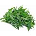 SEP Ponnankanni Powder 100g | Gudari sag | Honagonne | Alternanthera sessilis - Buy Online on GoSupps.com
