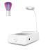 Professional Nail Dust Collector with Lamp and Nail Dust Brush (CJ003) - Buy Online on GoSupps.com