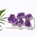 Crystal Hole Natural Quartz Amethyst Cluster Stones Specimen Home Decoration Crafts Purple Crystal Sample 1Pcs Crystsl Cluster 30-40g Crystal Hole (Color : Crystsl Cluster Size : 130-150g) 130-150g Crystsl Cluster - Buy Online on GoSupps.com