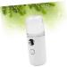 MAGICLULU Nano Facial Mister 2 Pcs Mini Humidifier Skin Care Tools Mini Facial Sprayer Portable Skin Moistener Usb Moisturizer - Buy Online on GoSupps.com