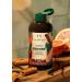 Buy The Body Shop Spiced Orange Shower Gel 8.4 Fl Oz - Refreshing Citrus Scent International Shipping Available - Buy Online on GoSupps.com