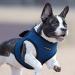 Puppia Dog Harness for Small & Medium Dogs - Soft Vest in Various Colors | Atani Train Crockery for Dogs - Royal Blue XL - Buy Online on GoSupps.com