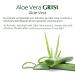 Grisi Aloe Vera Face Cream & Body Lotion 3.8 oz (Pack of 2) - Natural Freshness for Skin - Buy Online on GoSupps.com