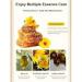EXQST Clear Lip Plumping Serum Clear Honey Lip Plumping Serum Moisturizing Lip Plumping Serum Honey Infused Lip Oil - Buy Online on GoSupps.com