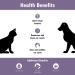 Otiderm Ear Cleanser for Dogs & Cats - 3 Pack - Aloe Vera Formula for Deodorizing, Cleansing, and Soothing Ear Canal - Buy Online on GoSupps.com