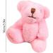 Xiaolan Taschenb r | Personalized Stuffed Bear in a Can | Comforting Pink Bear for Children | International Shipping Available - Buy Online on GoSupps.com