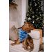 Unique Style Paws Dog Ceal - Washable Cotton Triangle for Small to Large Dogs & Cats - 1 Pack in Blue & Black - Buy Online on GoSupps.com