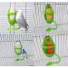 Cuttlebone Holder for Birds - 3 Pcs Parrot Stand with Plastic Cuddle & Bone Sticks - Ideal for Parrots Parakeets & Finches (Green) - International Shipping - Buy Online on GoSupps.com