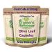 Olive Leaf Extract (Non-GMO) Super Strength: 40% Oleuropein - 450mg 10:1 Strength Equivalent to 4500mg per Capsule - Vegetarian - No Oil -120 Capsules