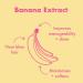 Umberto Giannini Banana Butter Nourishing Superfood Shampoo Conditioner & Styling Cream Set Vegan & Cruelty Free Moisturising Formula for Coily Dry Textured or Frizzy Hair - Buy Online on GoSupps.com