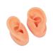 Waterproof Simulated Teaching Ear Model for Doctors - Long Lasting Artificial Ear - Buy Online on GoSupps.com