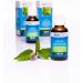 ABOVITAL Mint Oil - Japanese Medicinal Plant Oil for Rubbing Inhaling & Ingesting (60ml) - Premium Quality for Wellness & Relaxation - Buy Online on GoSupps.com