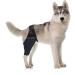 CORHAD Dog Leg Braces for Hindleg Comfortable Dog Knee Dog Back Leg Protector Puppy Pet Mesh Fabric Care M As Shown - Buy Online on GoSupps.com