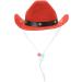 Awocan Red Dog Cowboy Hat & Bandana Scarf - Perfect Pet Costume for Parties & Vacations | International Shipping - Buy Online on GoSupps.com