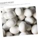 BESPORTBLE 12pcs Portable Fake Eggs Multi-Function Fake Eggs Delicate Simulated Eggs Solid Egg Multifunction 1.6x1.2cm White - Buy Online on GoSupps.com