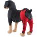 Pet Dog Knee Brace ACL Brace for Dogs Rear Leg Dog Braces for Back Leg for Support for Heals Prevents Injuries Sprains Red Large Large Red - Buy Online on GoSupps.com
