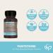 Pantethine 300mg Sustained Release Tablets - Supports Lipid Metabolism & Cardiovascular Health - 200 Count - Buy Online on GoSupps.com
