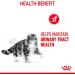 ROYAL CANIN Urinary Care In Jelly Adult Wet Cat Food (Pack of 12) - Buy Online on GoSupps.com