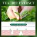 Tea Tree Oil for Face - Acne Serum & Blemish Spot Treatment - Unclogs Pores Soothes Breakouts - 1 fl oz for Smooth Glowing Skin - Buy Online on GoSupps.com