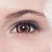 Matlens Colored Contact Lenses | Braun Big Eyes Circle Lenses | Trendy & Comfortable | Venus NPW-A26 | Includes 2 Lentils & Care Kit | International Shipping - Buy Online on GoSupps.com