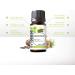 Senselab Cedarwood Essential Oil - 100% Pure Therapeutic Grade Extract for Diffuser/Humidifier - Hair & Skin Care - Woodsy Scent - Outdoor Protection - 10ml - Buy Online on GoSupps.com