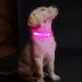 Buy Laroo Waterproof LED Light Band for Dogs & Cats - Bright Easy Attach Flashing Collar Light in Pink - Buy Online on GoSupps.com