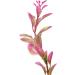 Mayitr 46cm Rhodo Artificial Aquarium Plants - Realistic Aquatic Decoration for Aquariums | Ship Worldwide - Buy Online on GoSupps.com