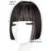 Bangs Hair Clip Clip in Hair Bangs Synthetic Hair Princess Cut Bangs Hair Piece Fringe Bangs Clip-on Quick Cosplay Bangs Hair Extensions Fake Straight Natural Fringe Hair for Women Bangs Clip in Hair Natural black - Buy Online on GoSupps.com