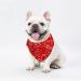 Shop Taozoey 3PCs Dog Neckerchief & Bandana - Stylish Accessories for Small & Medium Dogs & Cats - Buy Online on GoSupps.com