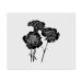 2 x 'Carnation Flower' Microfiber Lens/Glasses Cloths (LC00020821)
