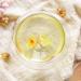 100% Chimonanthus Praecox 30g/1.05oz Frais Feuilles en Vrac Non - OGM Fleurs s ch es Naturelles Herbes savonneuses sirops Boissons Boulangerie beaut DIY sachets et pices fra ches - Buy Online on GoSupps.com