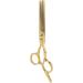 Stainless Steel Hair Cutting Scissors Professional Home Hair Salon Barber Thinning Shears for Kid Adult - Buy Online on GoSupps.com
