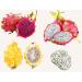 Fresh dragon fruit selection box - white red and yellow dragon fruit! - Expertly sourced by My Exotic Fruit