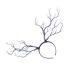 FRCOLOR Party Decoration Hair Accessories Photo Props Antlers The Photo Wooden
