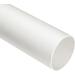 White Cardboard Tubes for Crafts - 1.75 x 8 In 24 Pack | Eco-friendly Crafting Supplies - Buy Online on GoSupps.com