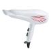 2000 Watt Compact Hair Dryer Dual Voltage Travel Hair Dryer Household Hair Dryer Hot and Cold Air Ion Hair Dryer/Black (White)