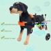 Pet Rehabilitation Cart Adjustable Dog Wheelchair for Back Legs Animal Exercise Wheels for Handicapped Hind Legs - Easy Assemble - 6 Sizes X - Small - Buy Online on GoSupps.com