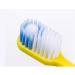 Zumaha Cute Cartoon Toothbrush Set for Kids 3-12 | Soft Bristles & 3-Pack for Gentle Cleaning - Buy Online on GoSupps.com