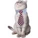 Pets Dog Cat Bowtie Set - Adjustable Formal Necktie Collar for Cats & Small Dogs - Grooming Accessories in Pink/Black - 4 Pieces - Buy Online on GoSupps.com
