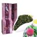 250 g de th Oolong saveur de p che de haute montagne Th vert Wulong biologique