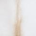 Towarm Afro Kinky Bulk Synthetic Hair 50Gram Kinky Bulk Afro Hair Ideal for Making or Repairing Permanent Dreadlocks Twists and Braids (1Pc #30) 1Pc #30 - Buy Online on GoSupps.com