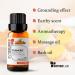 SenseLAB Turmeric Essential Oil - 100% Pure Therapeutic Grade Extract for Hair and Skin Care - 10ml - Buy Online on GoSupps.com