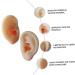 Hemoton Silicone Ear Model Set for Practice and Display | Ear Picking & Simulation Props - Buy Online on GoSupps.com
