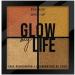 Fashion Make Up - Glow my life illuminator palette (Gold) - Buy Online on GoSupps.com
