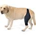 GRIRIW Puppy Leg Brace Dog Foreleg Brace Dog Hindleg Cover Puppy Leg Cover Dog Leg Braces for Foreleg Comfortable Dog Leg Brace for Dog Knee for Dogs Leg Supplies M As Shown - Buy Online on GoSupps.com