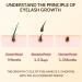 LANBENA Eyelash Growth Serum | Advanced Eyelash & Eyebrow Treatment | 100% Hypoallergenic 0.14 Fl. Oz - Buy Online on GoSupps.com