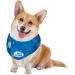 ALL FOR PAWS Chill Out Dog Ice Bandana | Instant Cooling Pet Scarf for Summer | Breathable Ice Collar for Cats & Small Dogs - Buy Online on GoSupps.com